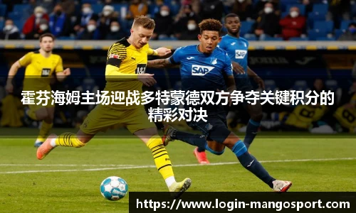 霍芬海姆主场迎战多特蒙德双方争夺关键积分的精彩对决